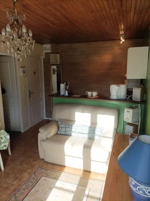 شقة Lumineux 2 Pieces A St Martin Saint-Martin-Vésubie المظهر الخارجي الصورة